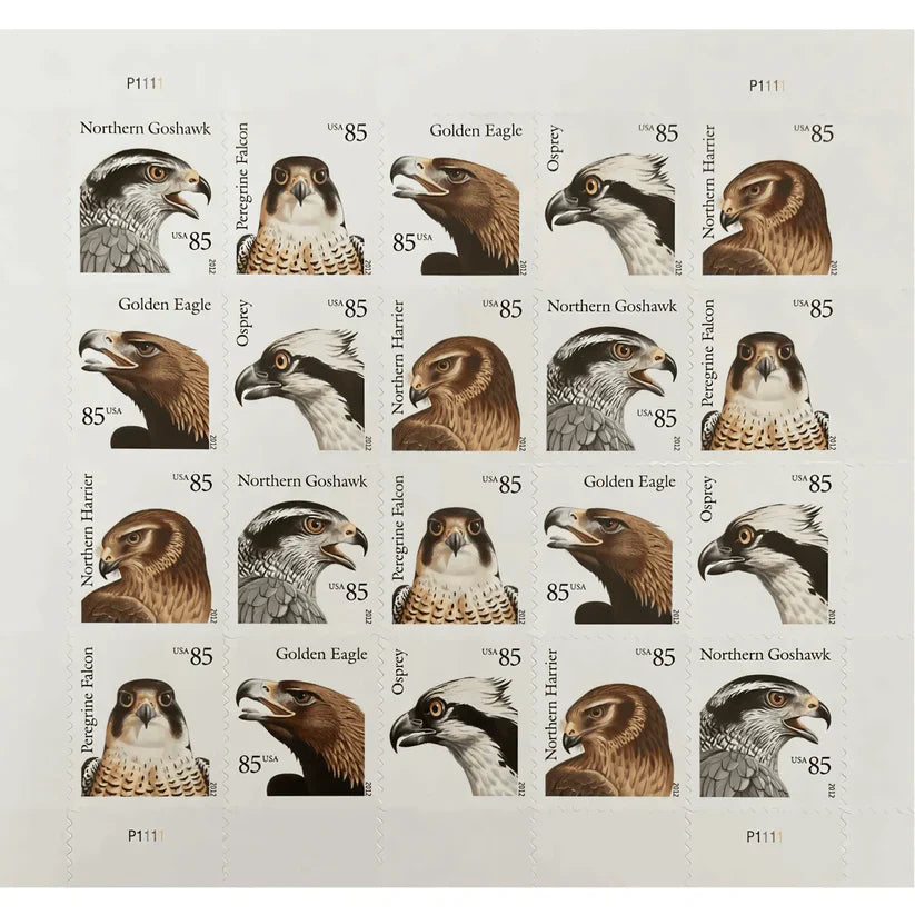 First Class Stamps 2012 BIRDS OF PREY - Stamps -