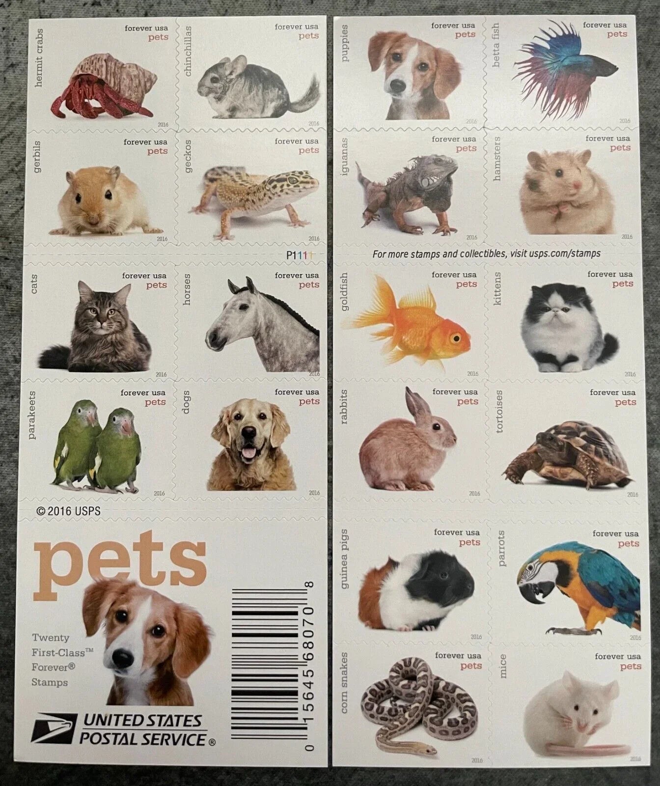 Pets Stamps 2016 Postage Stamps