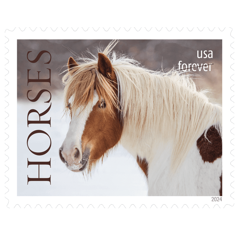Horses Stamps 2024