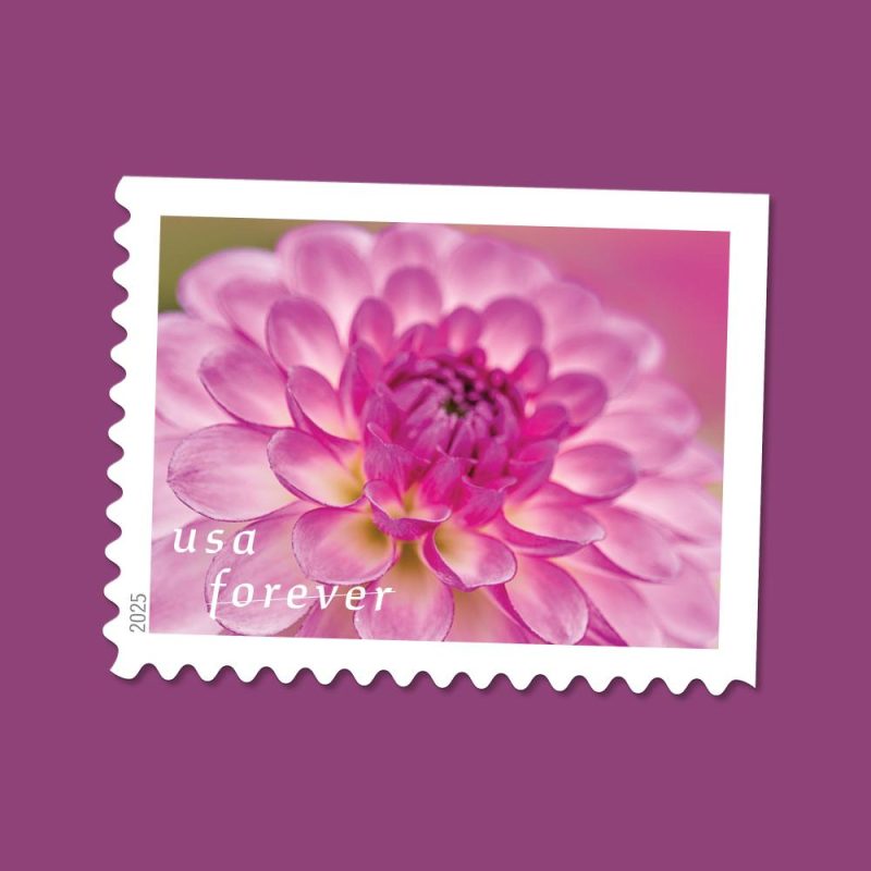 Dahlias Stamps 2025 -