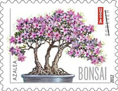 Forever Stamps 2012 Bonsai Trees Stamp -