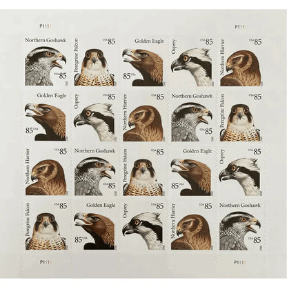 First Class Stamps 2012 BIRDS OF PREY - Stamps -