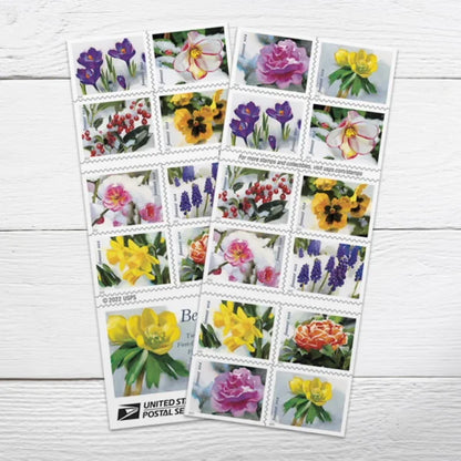 Snowy Beauty Stamps 2022