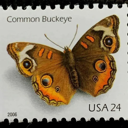 First Class Stamps 2006 Common Buckeye Butterfly -