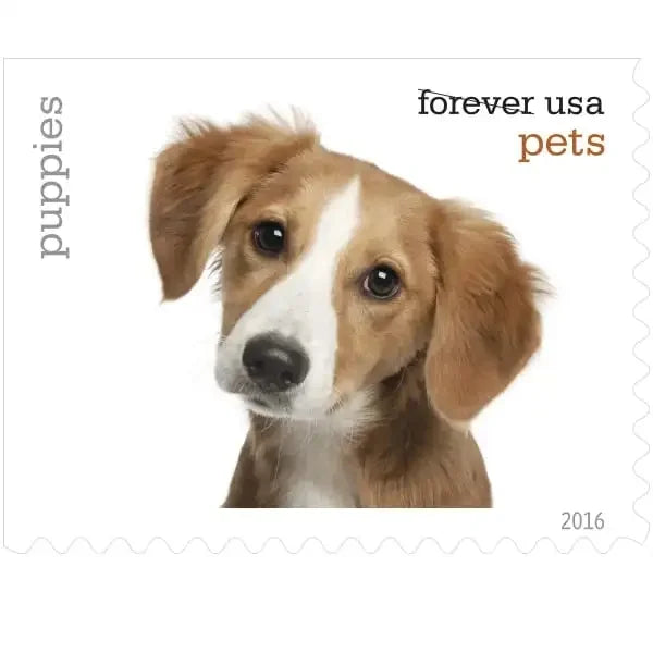 Pets Stamps 2016 Postage Stamps