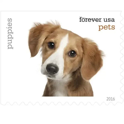 Pets Stamps 2016 Postage Stamps