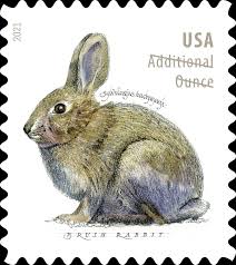 Brush Rabbit Stamps 2021 -