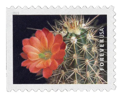 Cactus Flowers Stamps