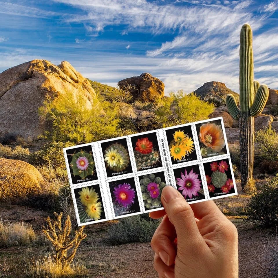 Cactus Flowers Stamps
