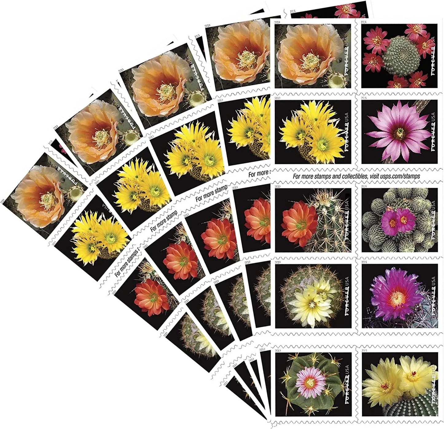 Cactus Flowers Stamps