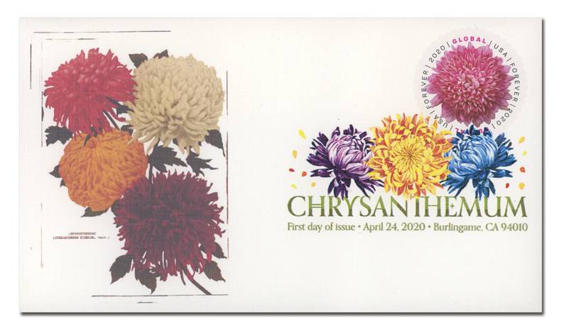 Global Chrysanthemum  Forever Stamps 2020 -