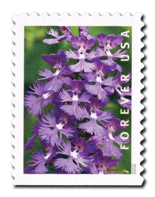 Wild Orchids Stamps 2020