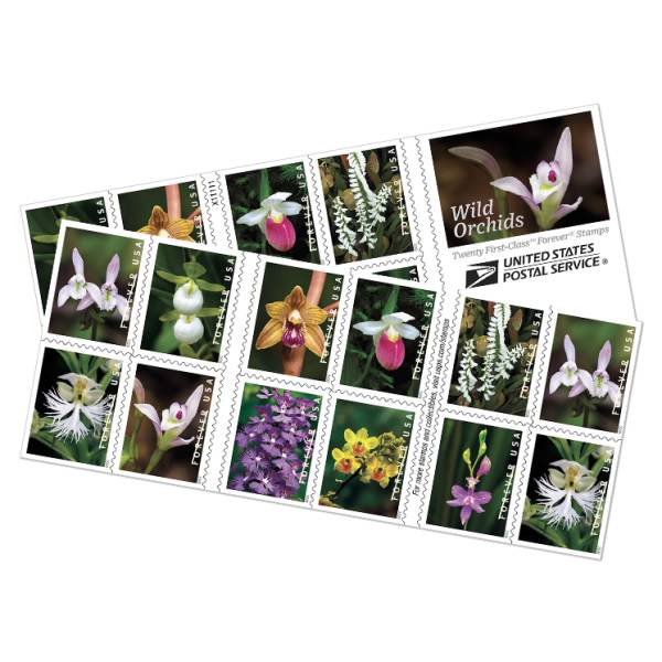 Wild Orchids Stamps 2020