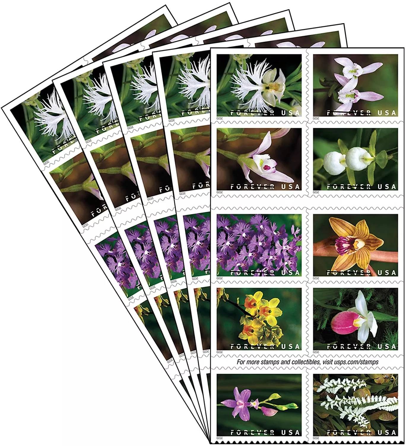 Wild Orchids Stamps 2020