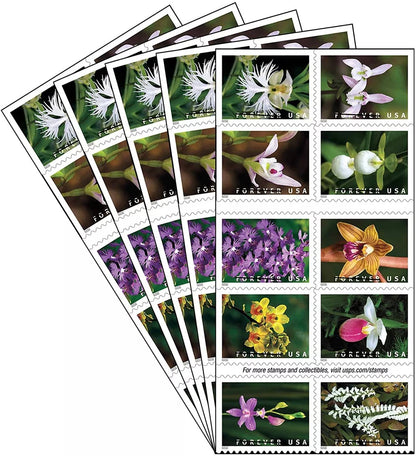 Wild Orchids Stamps 2020