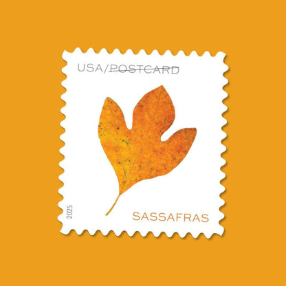 Vibrant Leaves Postcard Stamps 2025 (Roll)