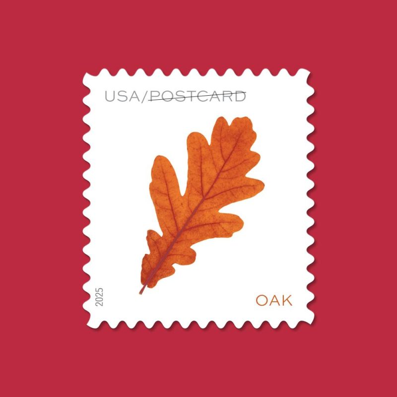 Vibrant Leaves Postcard Stamps 2025 (Roll)