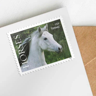 Horses Stamps 2024