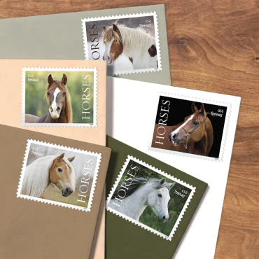 Horses Stamps 2024