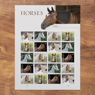Horses Stamps 2024