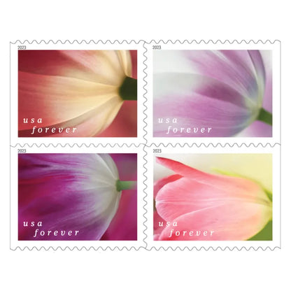Tulip Blossoms Stamps 2023