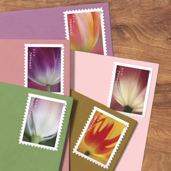 Tulip Blossoms Stamps 2023