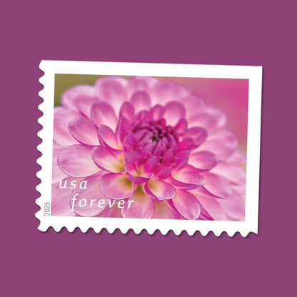 Dahlias Stamps 2025 -