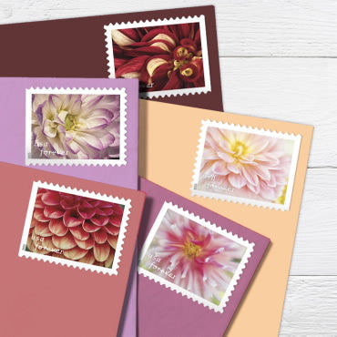 Dahlias Stamps 2025 -