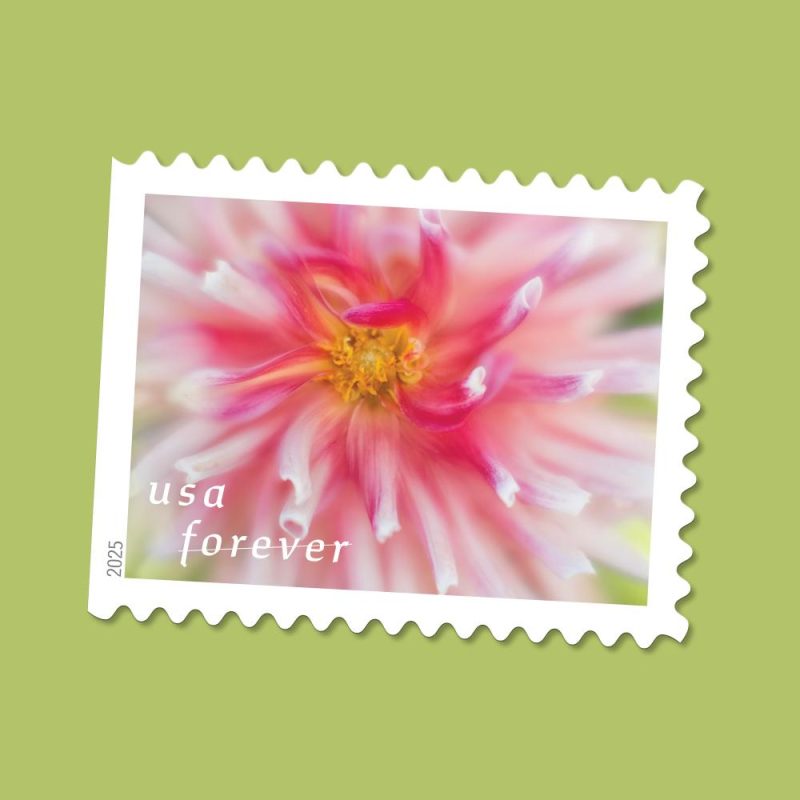 Dahlias Stamps 2025 -