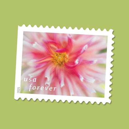 Dahlias Stamps 2025 -